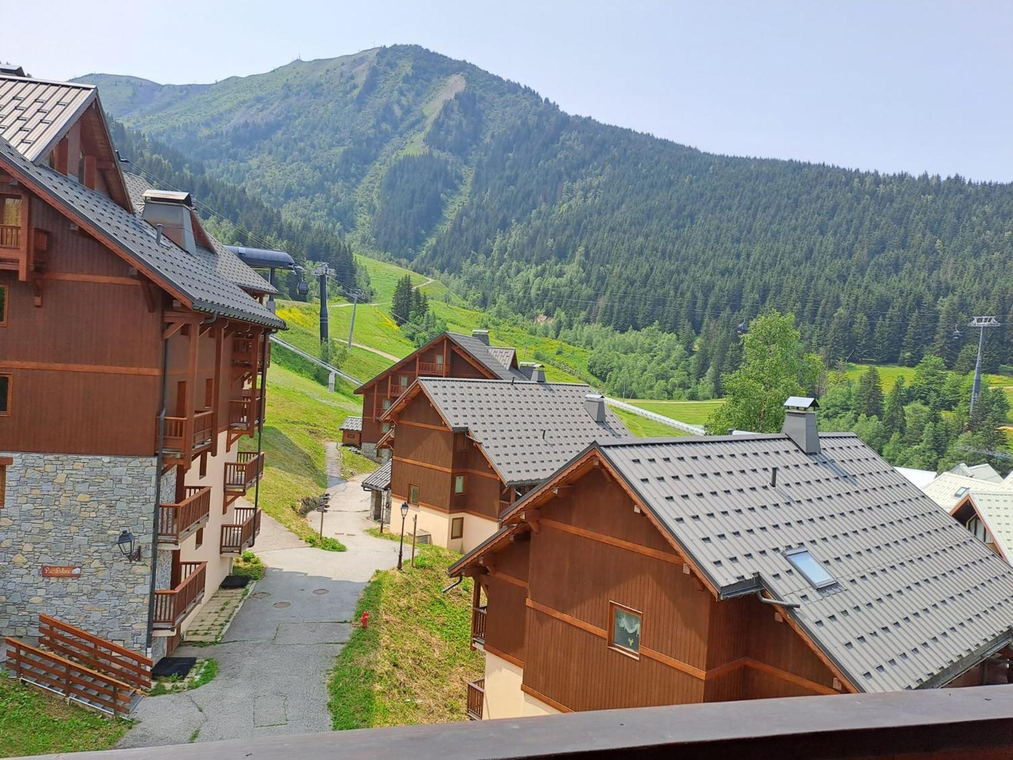 Chalet Des Neiges Oz En Oisans オーズ エクステリア 写真